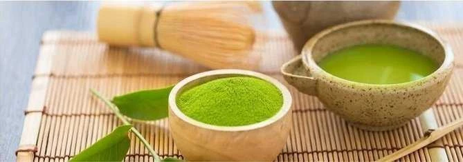Moya Matcha Chashaku - Chashaku Matcha Spoon
