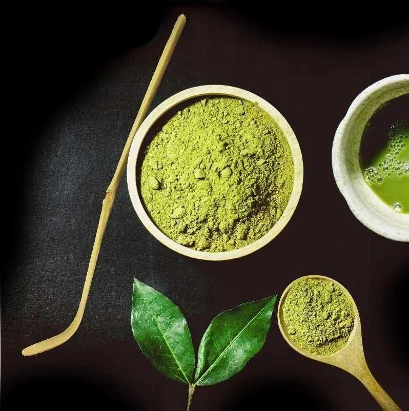 Moya Matcha Chashaku - Chashaku Matcha Spoon
