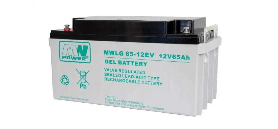 AKUMULIATORIUS 12V/65AH-MWLG MW Power
