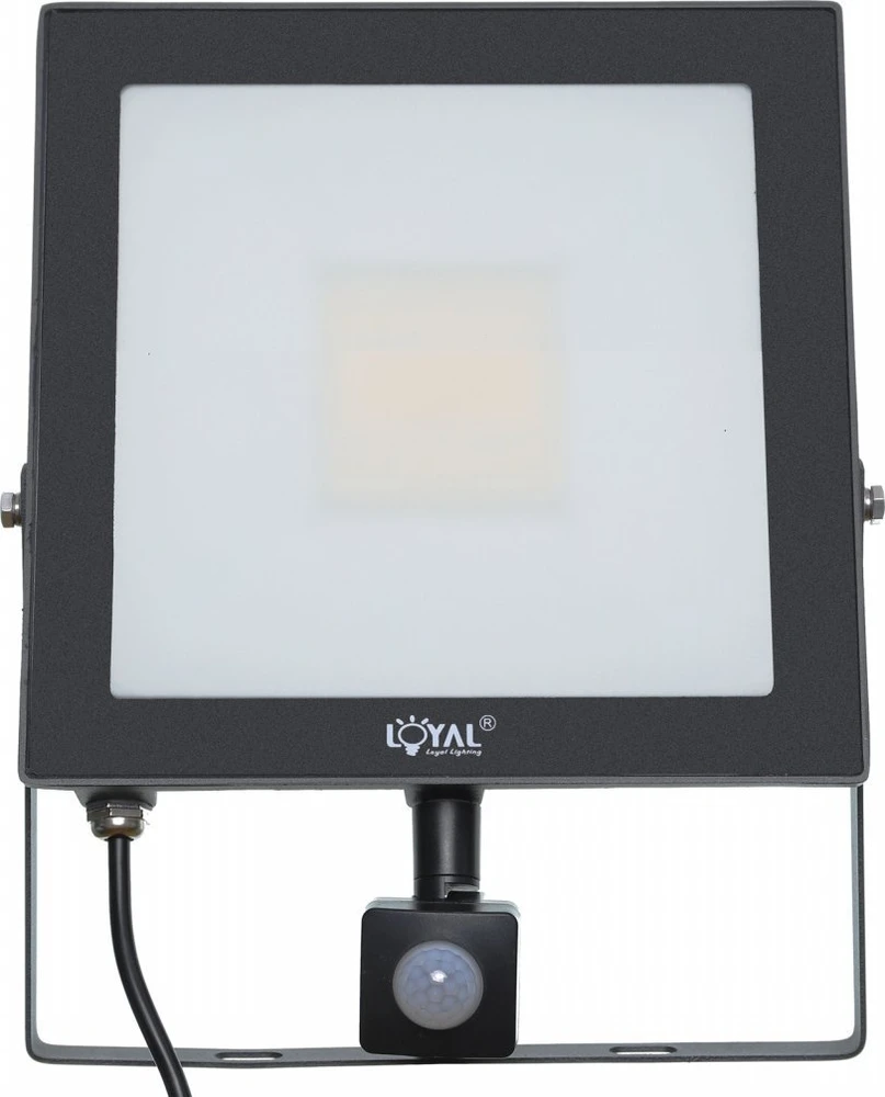 Lauko prožektorius Loyal Lighting, 7200lm, LUMILEDS IP65, 4K jutiklis, vieno dydžio