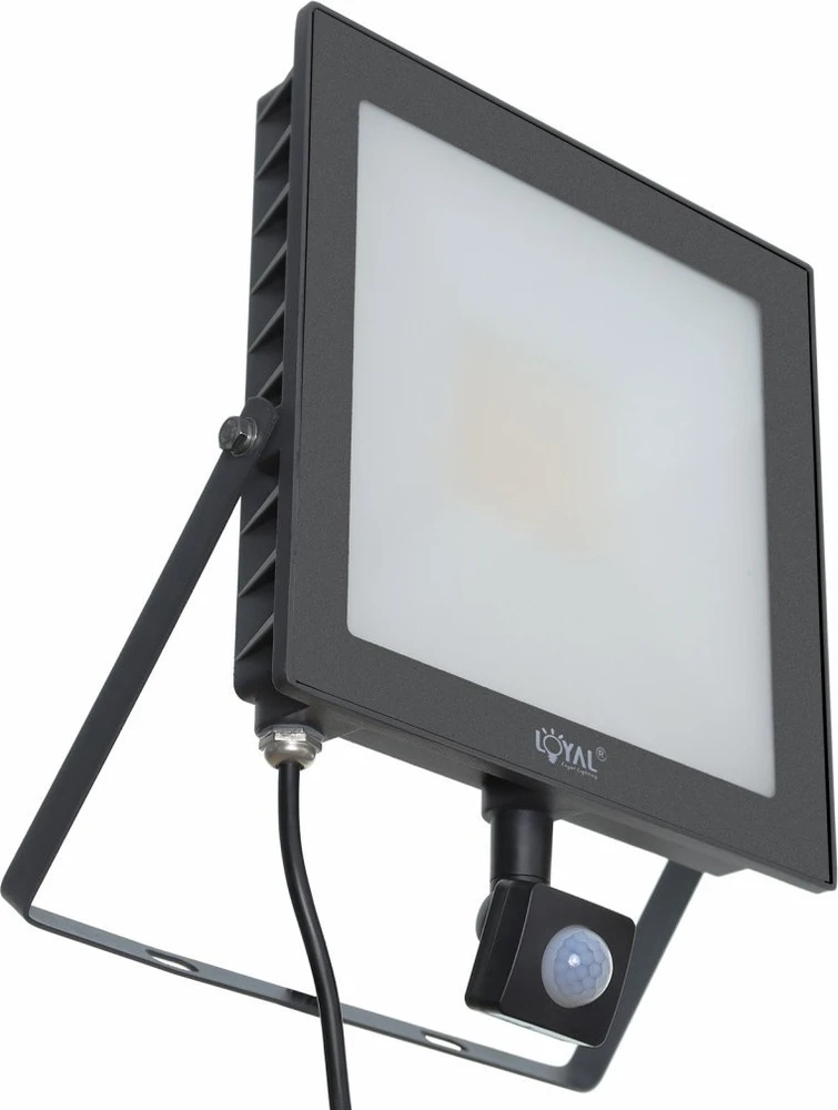 Lauko prožektorius Loyal Lighting, 7200lm, LUMILEDS IP65, 4K jutiklis, vieno dydžio