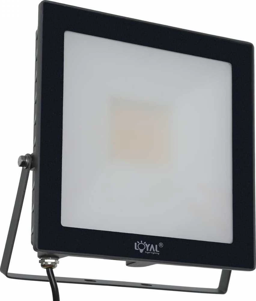 Loyal Lighting prožektorius lauko LED 7200lm LUMILEDS IP65 4K