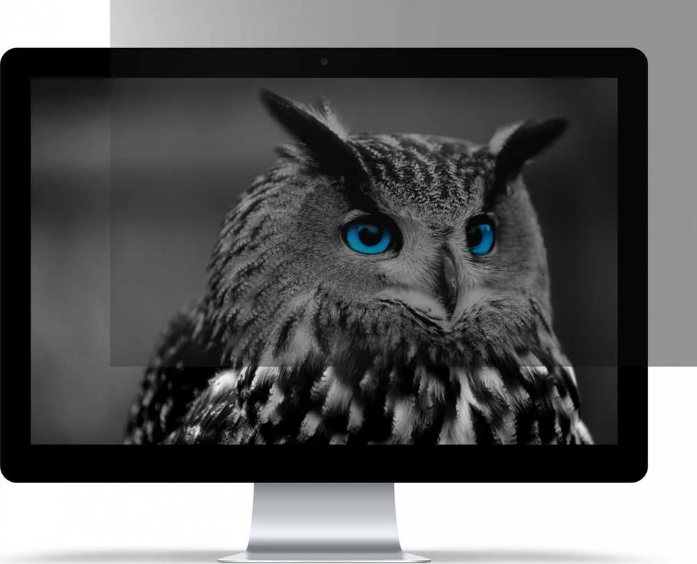 NATEC NFP-1474 privatumo filtras RODO OWL 14 colių 16:9