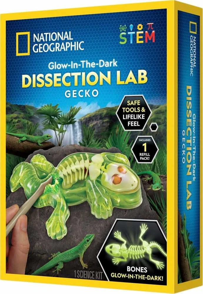 NATIONAL GEOGRAPHIC rinkinys Tamsoje šviečiančių gekonų skrodimo laboratorija, RTGECKOLAB