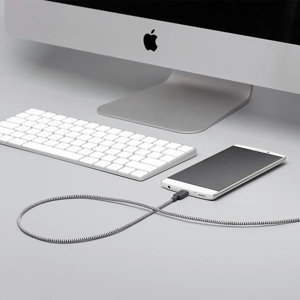 Native Union Diržo kabelis USB-A į USB-C 1,2 m Zebra