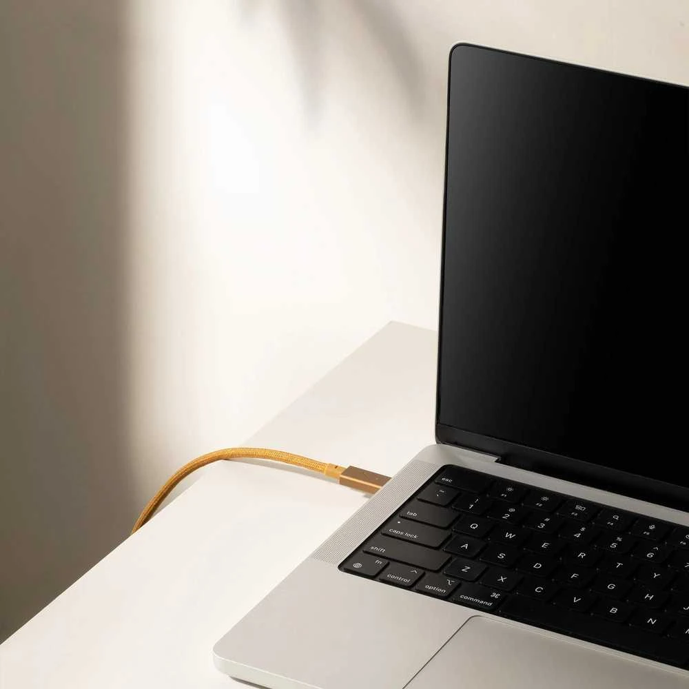 Native Union Belt Cable Pro 240W - kabelis USB-C - USB-C, 2,4 m (žalias)