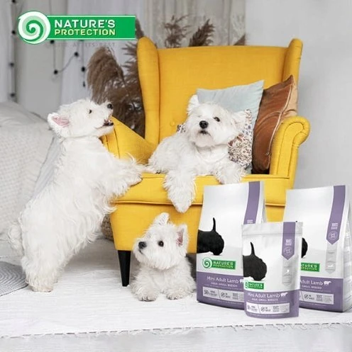 Nature's Protection Mini Adult ėriena Small breed dog 2kg, mažų veislių suaugusių šunų sausas pašaras su ėriena
