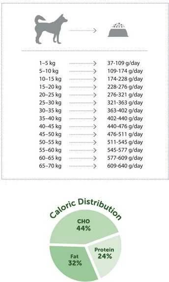 Nature's Protection Adult ėriena All breed dog 12 kg, suaugusių visų veislių šunų sausas pašaras su ėriena