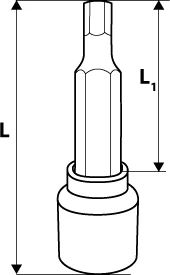Końcówka Galvutė HEX 1/2 '' H6, 100 mm