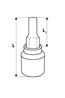 Końcówka Prailginta sukimo galvutė Neo Hex 1/2", H6 x 55mm