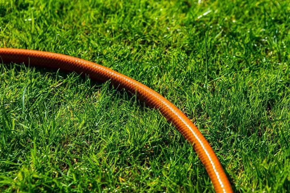 Žarna Sodo žarna 3/4" x 20 m, 4 sluoksnių NEO ECONOMIC