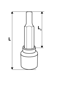 Końcówka Prailginta sukimo galvutė Neo Torx 1/2", T20 x 100mm