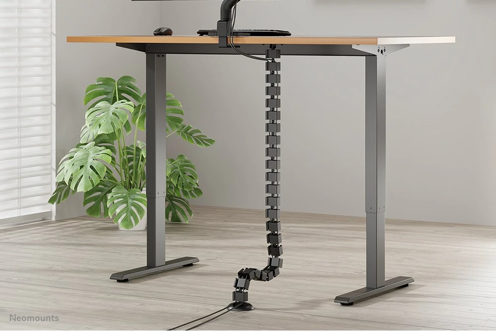 NEOMOUNTS CABLE SPINE ORGANIZER FOR SIT/STAND DESK FRAMES, SCREW MOUNTED, Juodas