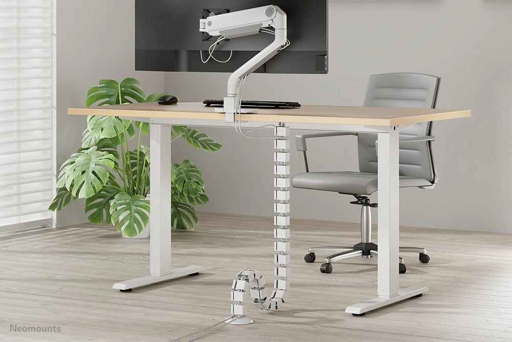 NEOMOUNTS CABLE SPINE ORGANIZER FOR SIT/STAND DESK FRAMES, SCREW MOUNTED, Baltas