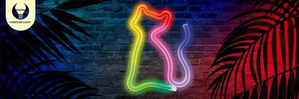 Neoninis LED RGB šviestuvas CAT FLRN03 + RC Forever Light