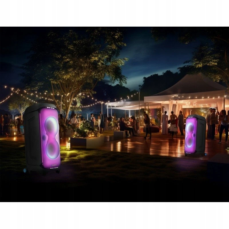 Nešiojama kolonėlė Blaupunkt Party Box PB100X