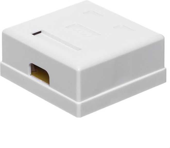 NETRACK 106-21 Netrack sukomplektuotas ant paviršiaus montuojamas lizdas 2xRJ45 8p8c UTP Cat6 LSA