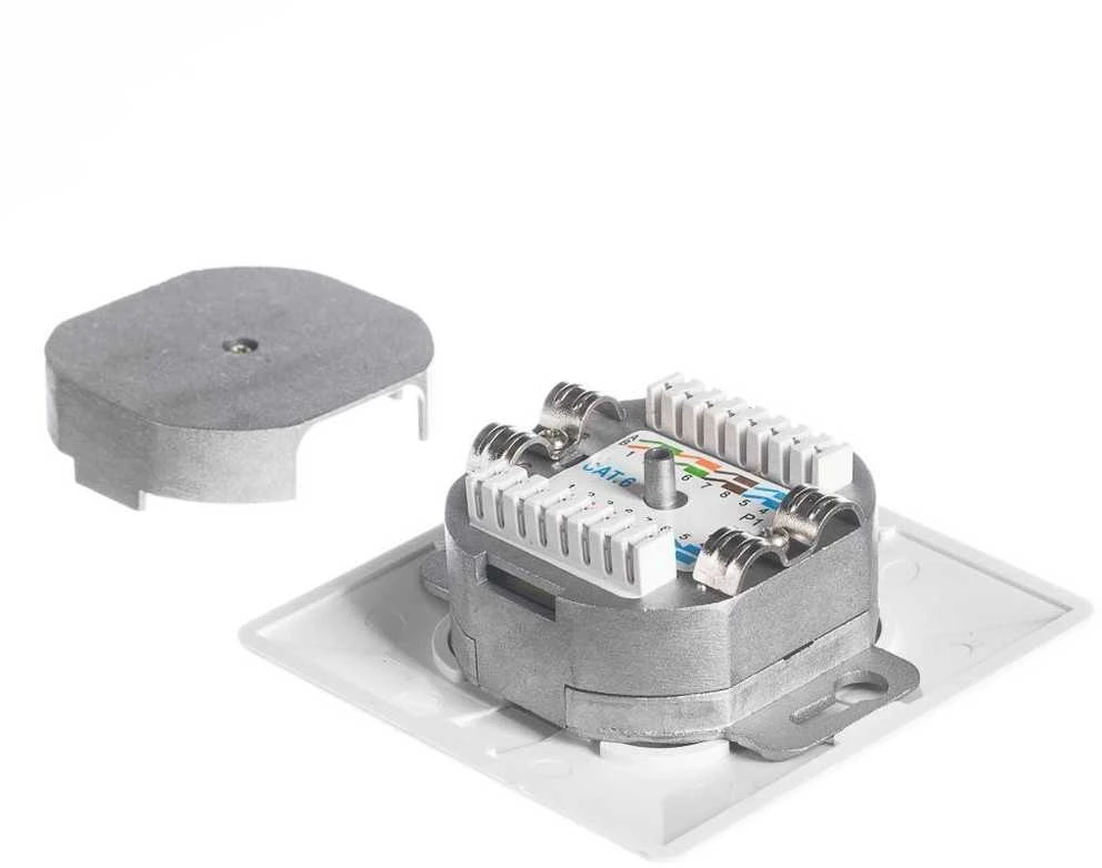 NETRACK 106-24 „Netrack“ pilnas įleidžiamas išleidimo anga 2xRJ45 8p8c UTP Cat6