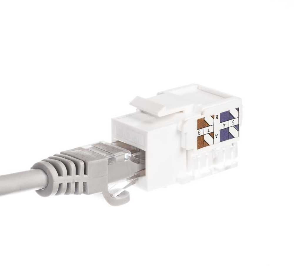 NETRACK 105-02 Keystone Jack RJ45 UTP cat. 5e su spaustuku baltas