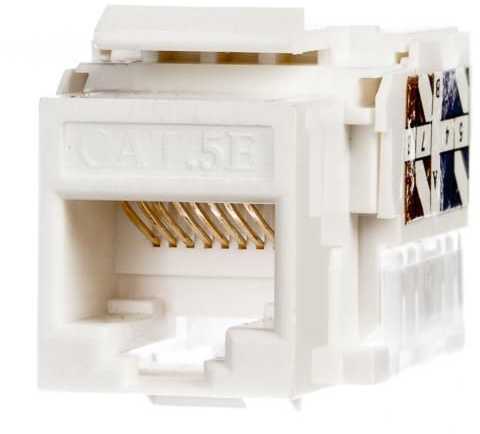 NETRACK 105-02 Keystone Jack RJ45 UTP cat. 5e su spaustuku baltas