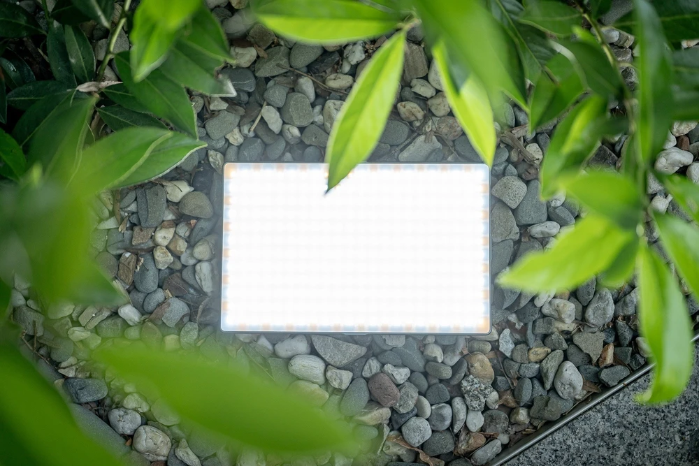 LED Šviestuvas Newell RGB-W Rangha Max XL