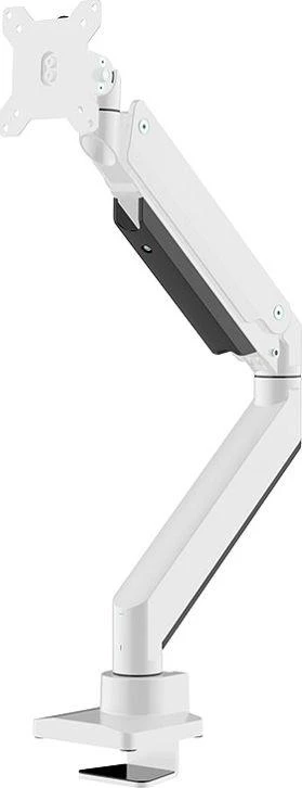 Laikiklis Neomounts Newstar NM-D775PLUS 124,5 cm (49") Gnybtas / varžtai Balta