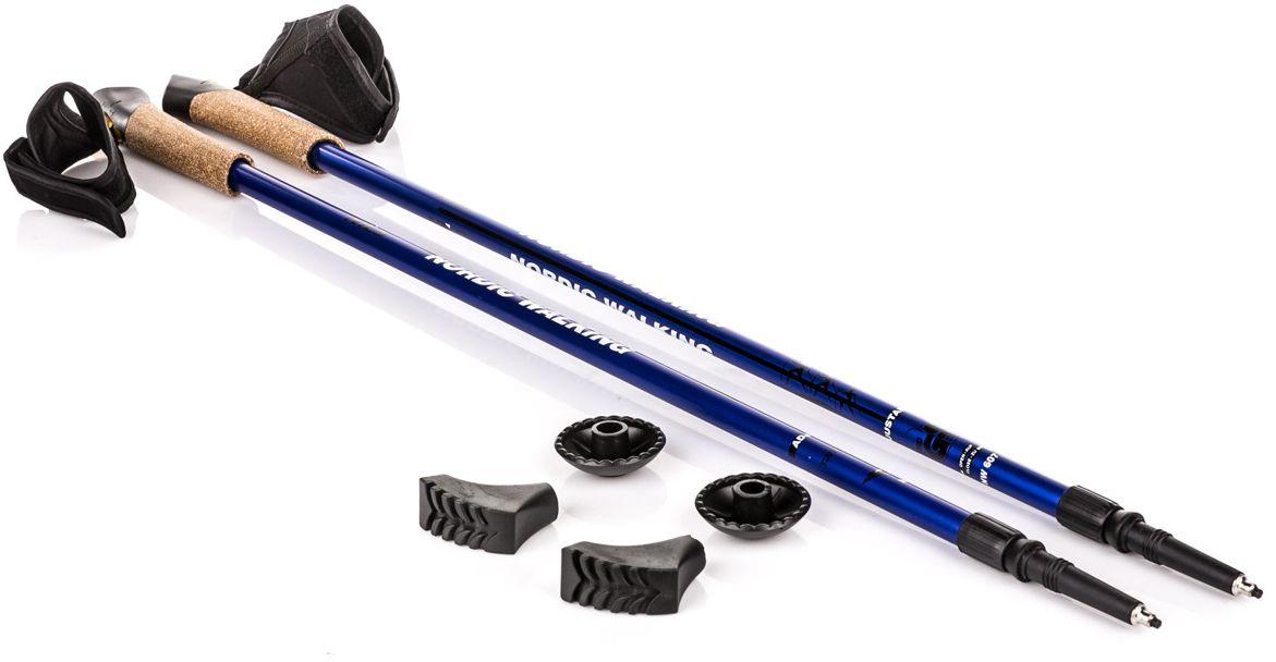 Nils Extreme NW607 NORDIC WALKING POLES NILS