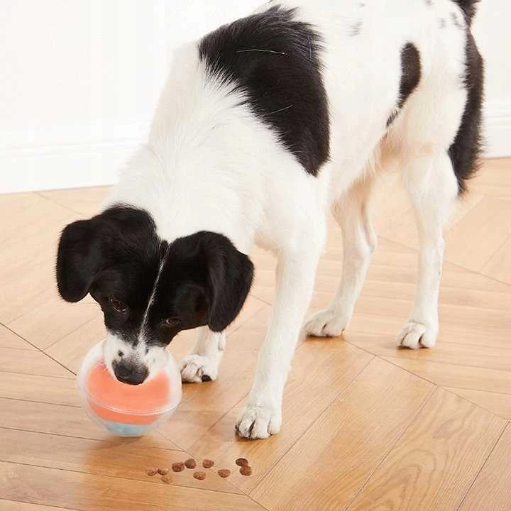 NINA OTTOSON NINA OTTOSON DOG RUMBLE Dėlionė POMARAŃCZ