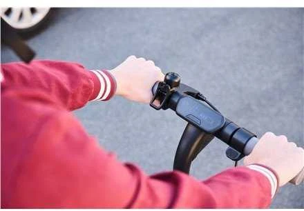 Ninebot by Segway Kickscooter E2 PRO E, Juodas | Segway