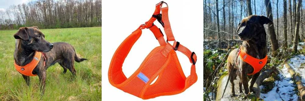 Nobby NOBBY MESH REFLECT DIRŽAI XXS RUDA 28-33cm