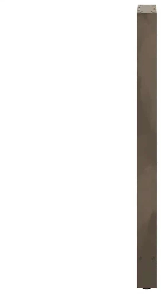 Baro stalo kojos, 2 vnt., 50x(110-111) cm, natūralus plienas