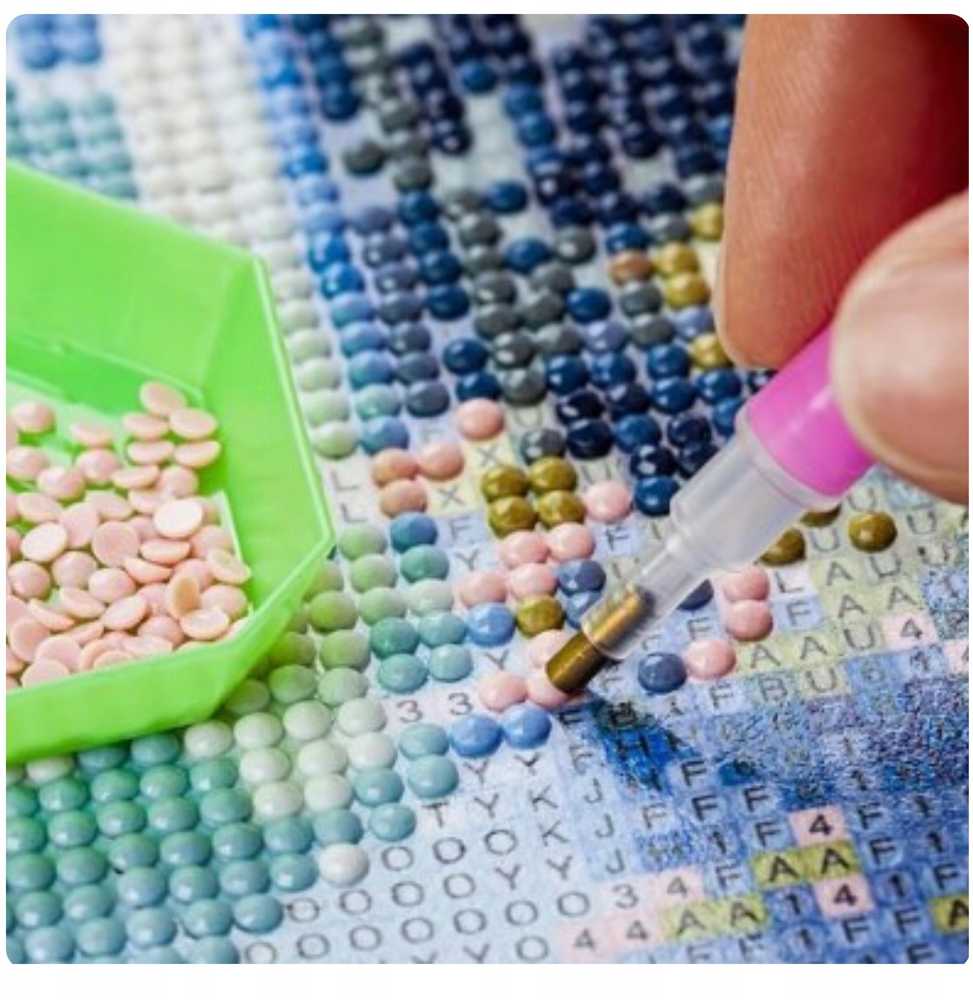 Norimpex DIAMOND MOSAIC Deimantinis siuvinėjimas Deimantinis paveikslas BIRniukas SU ŠUNIU 5D