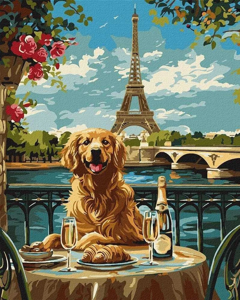 Art Active Ideyka tapybos pagal skaičius rinkinys Retriever in Paris KHO6627 40x50 AP0060