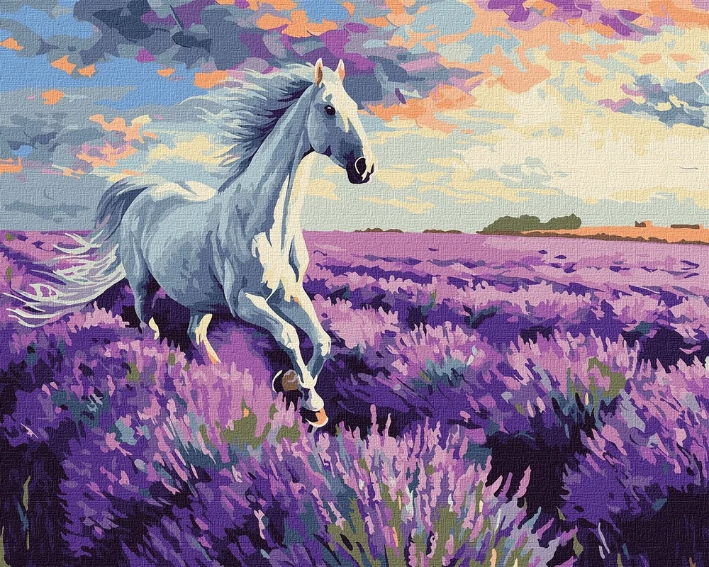 „Norimpex Malow“, nr. 40x50. Levandų laukuose 68199.