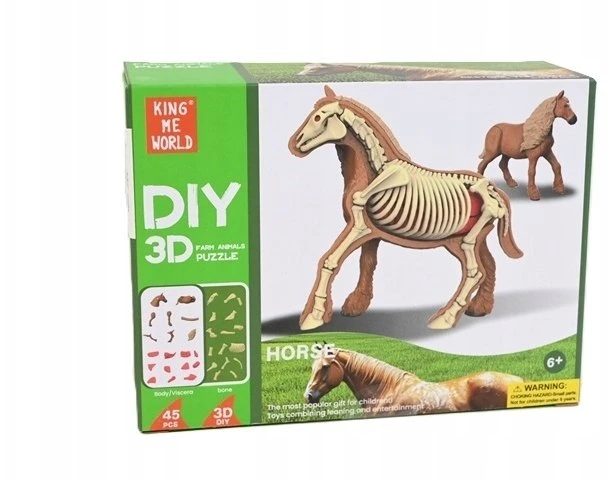Norimpex *****Model anatomiczny zwierzęta 2002265 22657