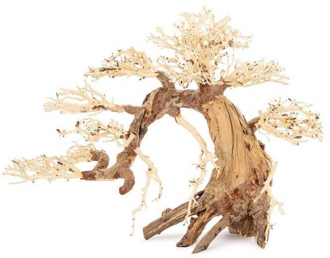 Norimpex Tapybos paveikslas „Bonsai“ medis nr. 13 60x40
