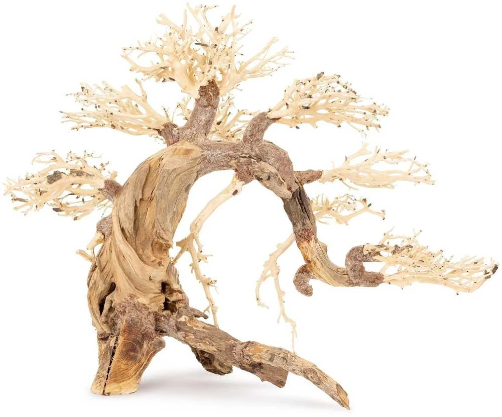 Natūralaus medžio akvariumo bonsai dekoracija