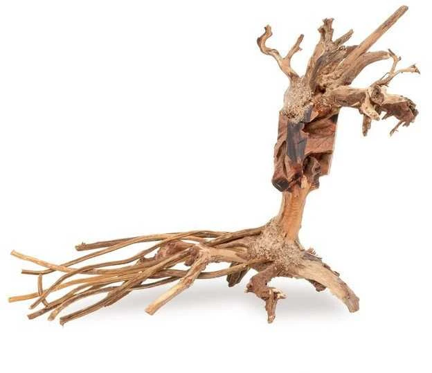 Akvariumo bonsai šaknies dekoracija
