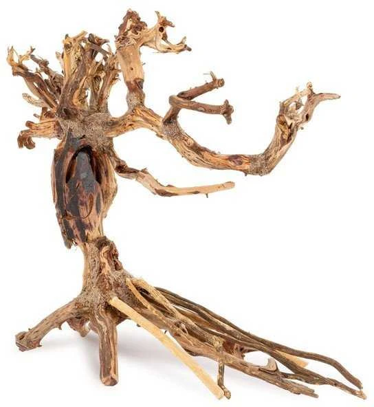 Norimpex bonsai dekoracija akvariumui su šakotomis šaknimis