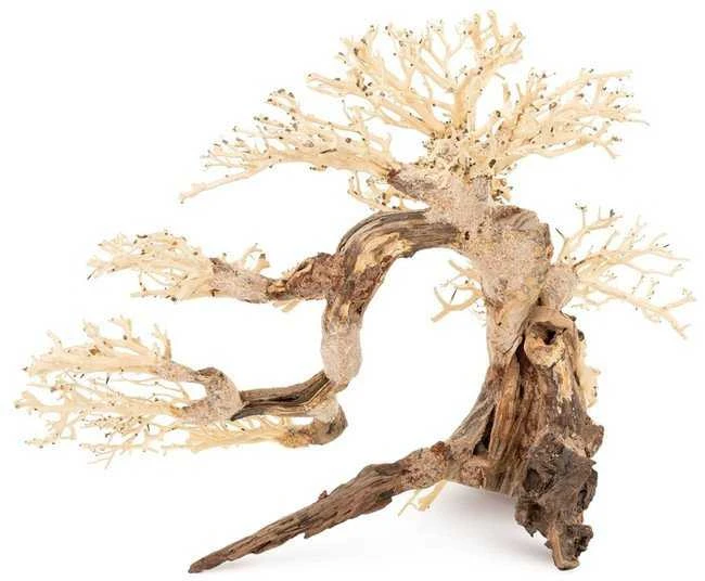 Skęstantis bonsai medelis akvariumui Nr. 63