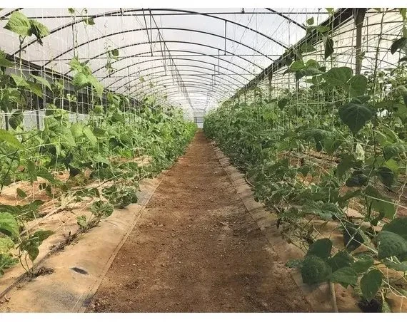 Nortene Tinklas augalams kompostuotas 2X5M