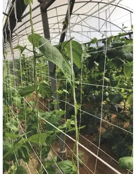Nortene Tinklas augalams kompostuotas 2X5M