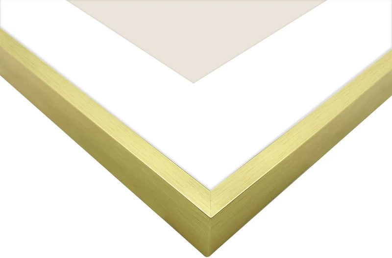 Nuotraukų rėmelis Rėmelis Focus Aster Gold 20x25/PP 15x20
