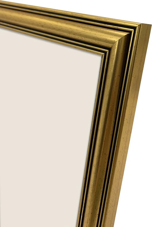 Nuotraukų rėmelis Rėmelis Focus Holly Gold 30x40