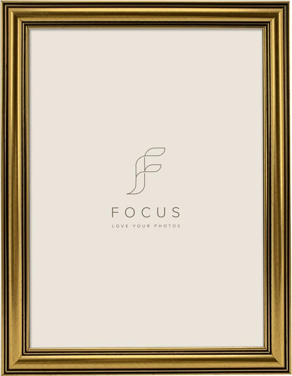 Nuotraukų rėmelis Rėmelis Focus Holly Gold 30x40