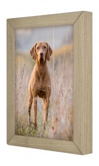 Nuotraukų rėmelis Ramka Gift Decor Ramka Woodflow FrameFlip A4