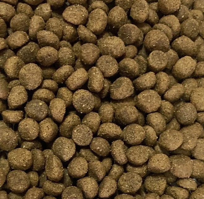 GDD Gold Dog Snocerek jautiena ir lašiša – sausas Maistas šunims – 5kg