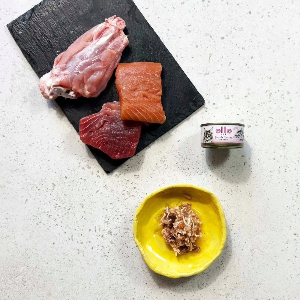 OLLO Cat nr 2 Tuna & vištiena with lašiša in broth – šlapias kačių maistas – 70g