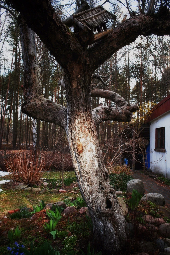 Objektyvas Obiektyw Voigtlander Voigtlander Obiektyw Color Skopar SL IIs 28 mm f/2,8 do Nikon F - juoda