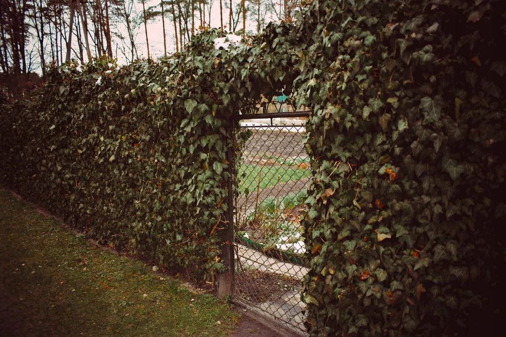 Objektyvas Obiektyw Voigtlander Voigtlander Obiektyw Color Skopar SL IIs 28 mm f/2,8 do Nikon F - juoda